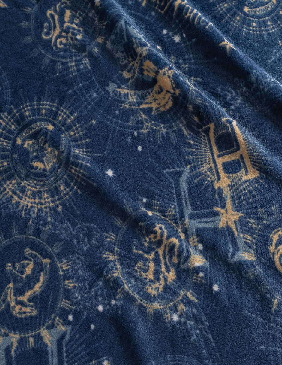 Cobertor Harry Potter estampado Infantil 2